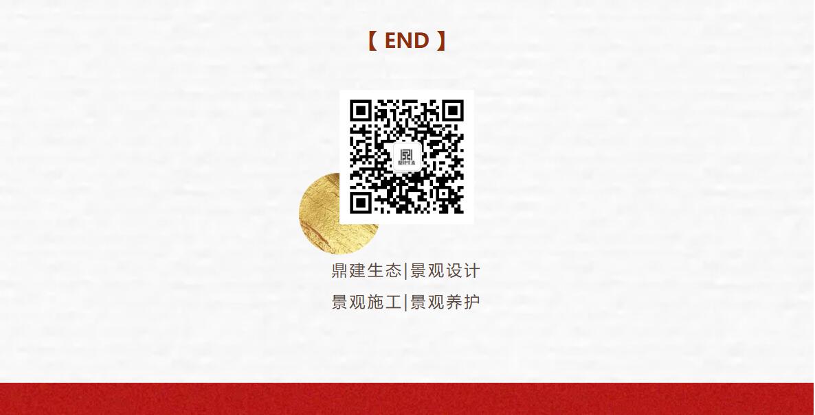 1767162481.jpg